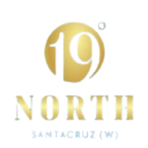 18- arunis 19 north logo